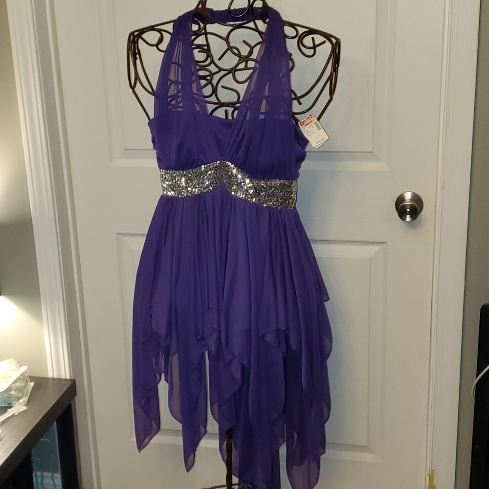 Formal/party dress..strapless purple sz 2X